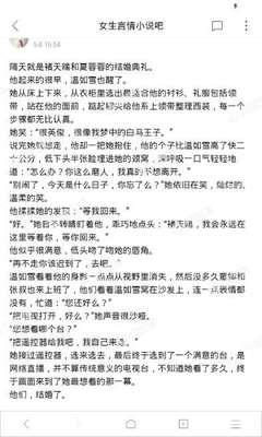 爱游戏版本的游戏